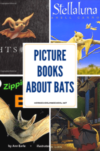 Picture Books About Bats