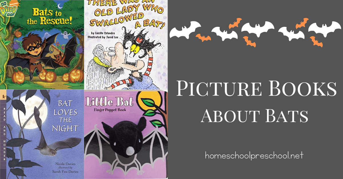 Halloween is coming! It's the perfect time to curl up with one of our favorite fiction or nonfiction picture books about bats for preschoolers.