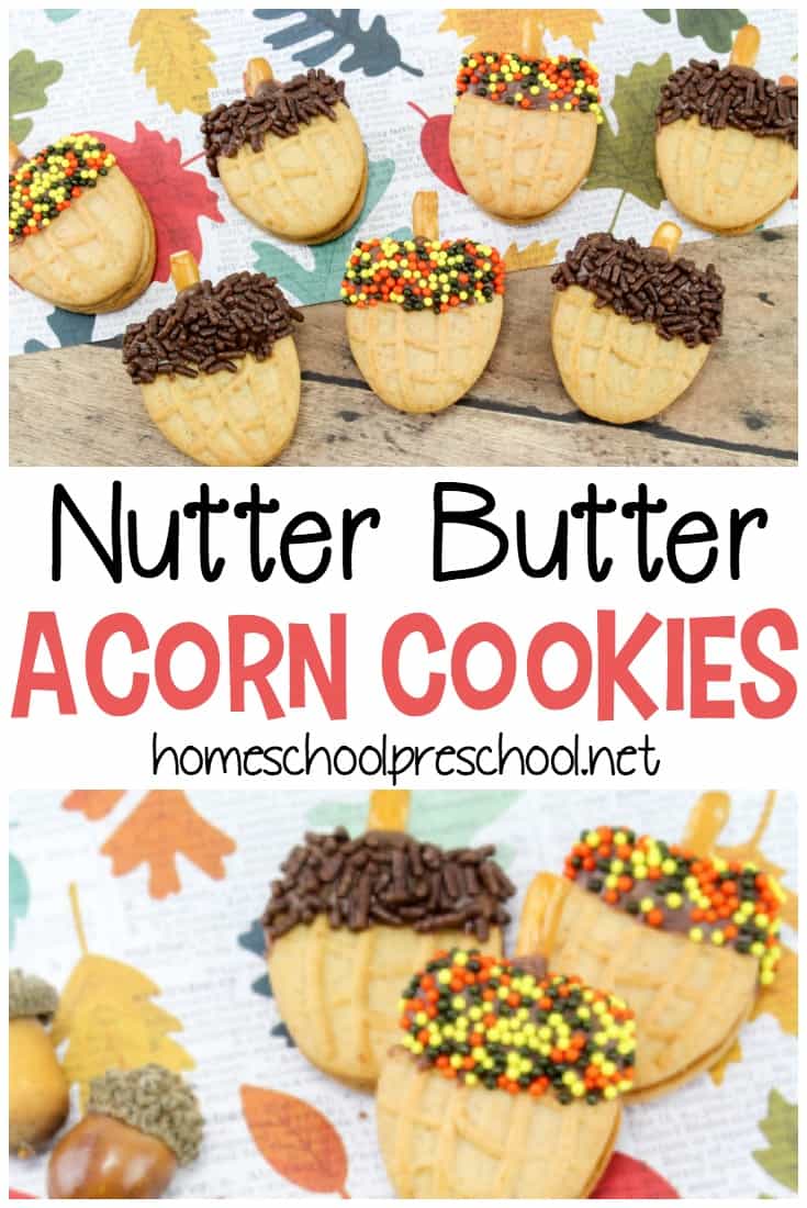 Nutter Butter acorn cookies are so easy to make! Kids can do much of the prep work on their own. These cookies are perfect for your fall preschool themes and parties.