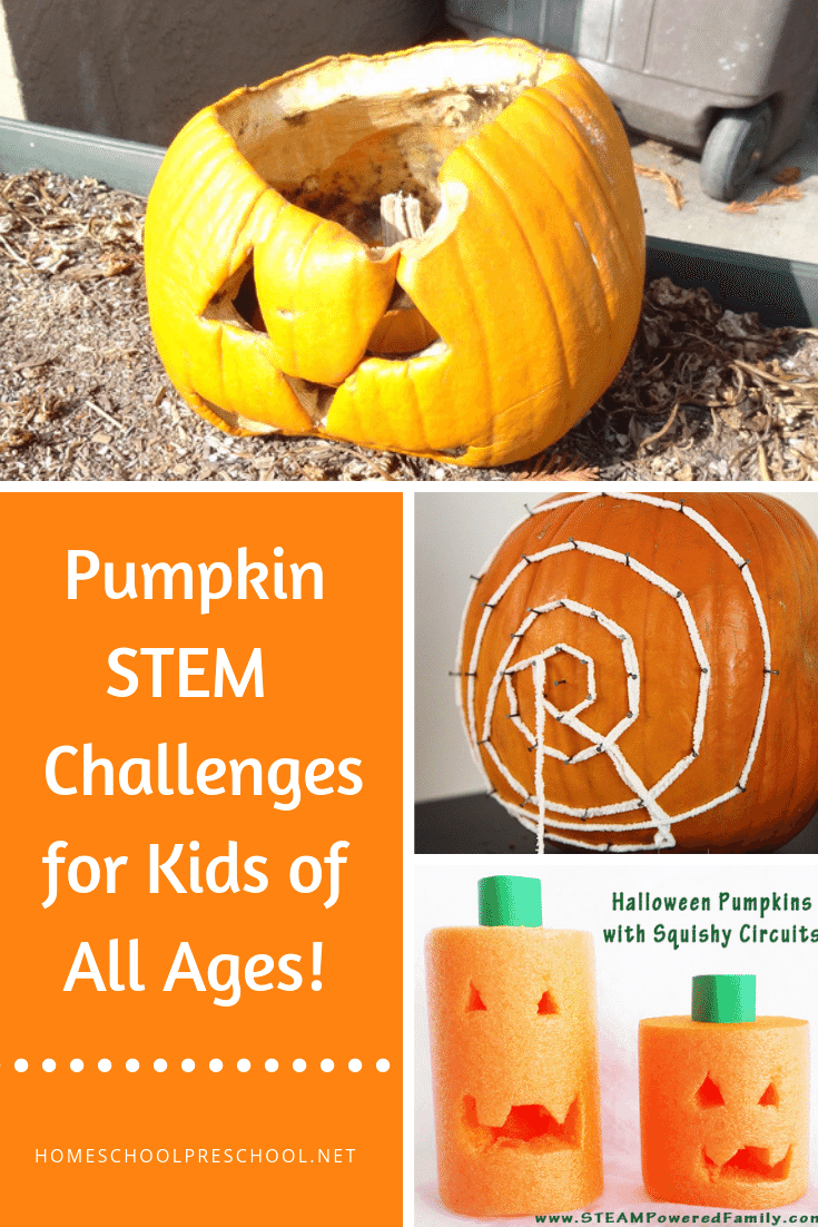 pumpkin-stem-2-735x1102 Hands-On Preschool Activities