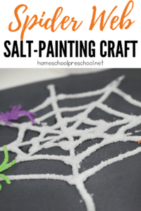 Salt Painted Spider Web Craft