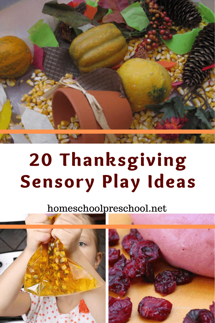 Explore sensory play with these Thanksgiving sensory activities for preschoolers! What a great way to entertain kids this holiday season.