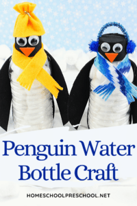 Water Bottle Penguin Craft