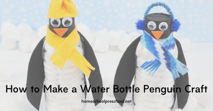 How to Make a Water Bottle Penguin Craft for Kids
