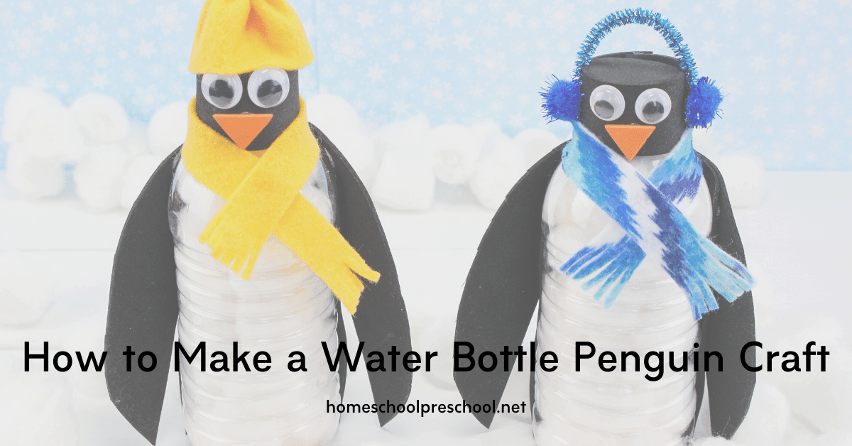 WT000562 'Penguins' Reusable Water Bottles 
