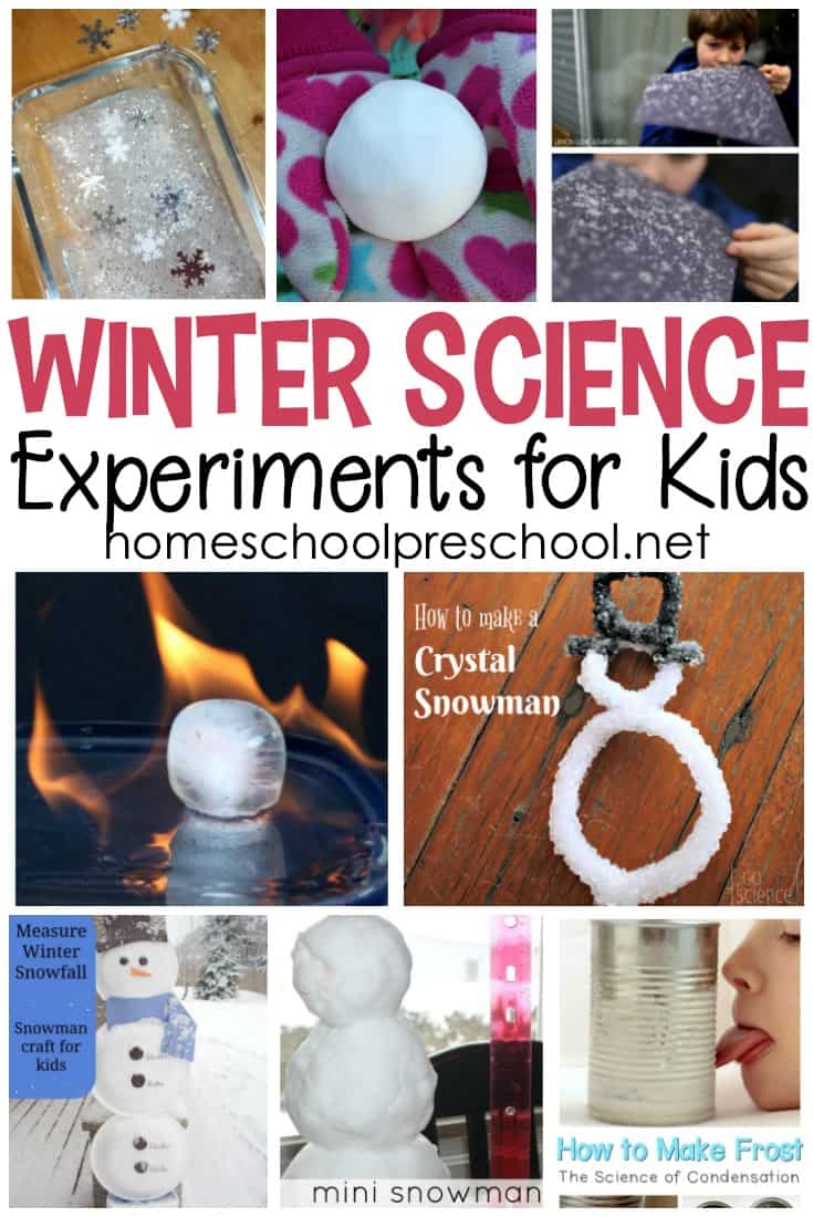 winter-science-experiments-for-preschoolers Ice Skating Books