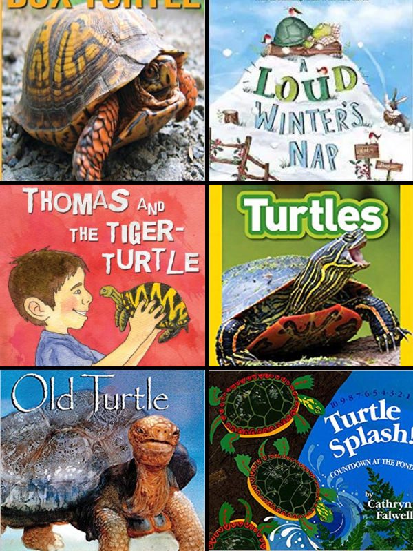 Our Favorite Turtle Books for Kids