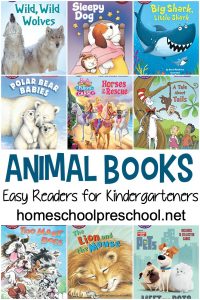 Easy Reader Animal Books for Kindergarten