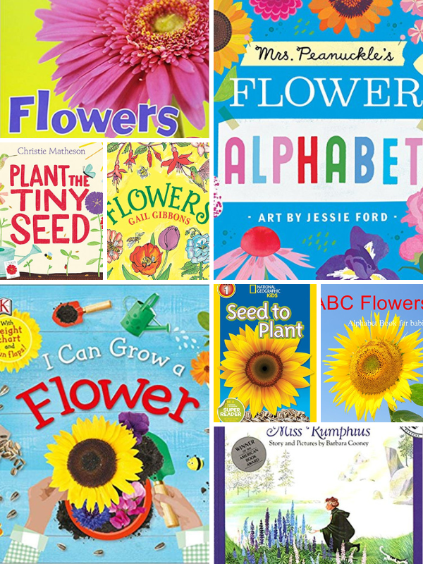 Preschool Books About Flowers
