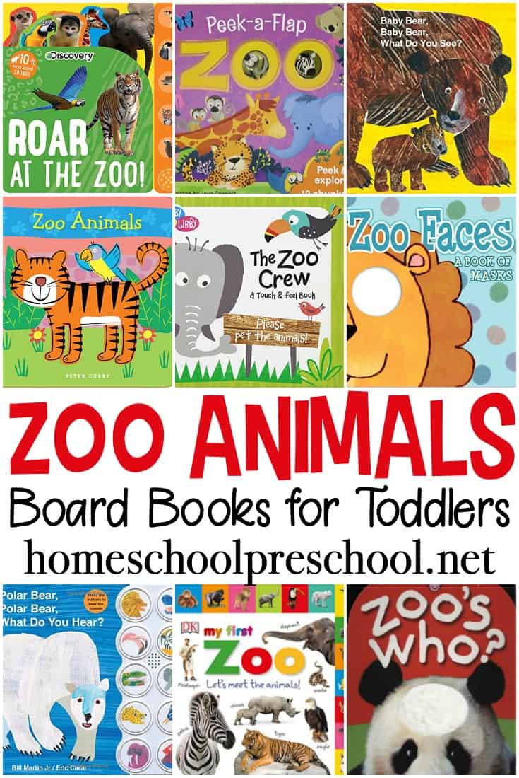 Zoo animal books for toddlers! Board books that toddlers can hold and manipulate as they learn about zoo animals around the world!