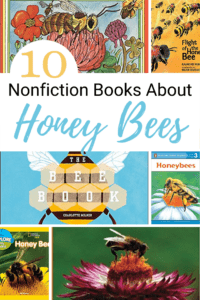 Nonfiction Books About Bees