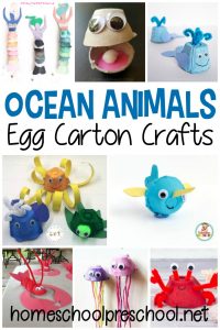 Egg Carton Ocean Animals
