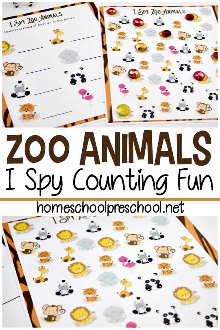 Learning about zoo animals is so much fun for preschoolers. This I Spy Zoo Animals game is a great way to practice counting with their favorite animals.