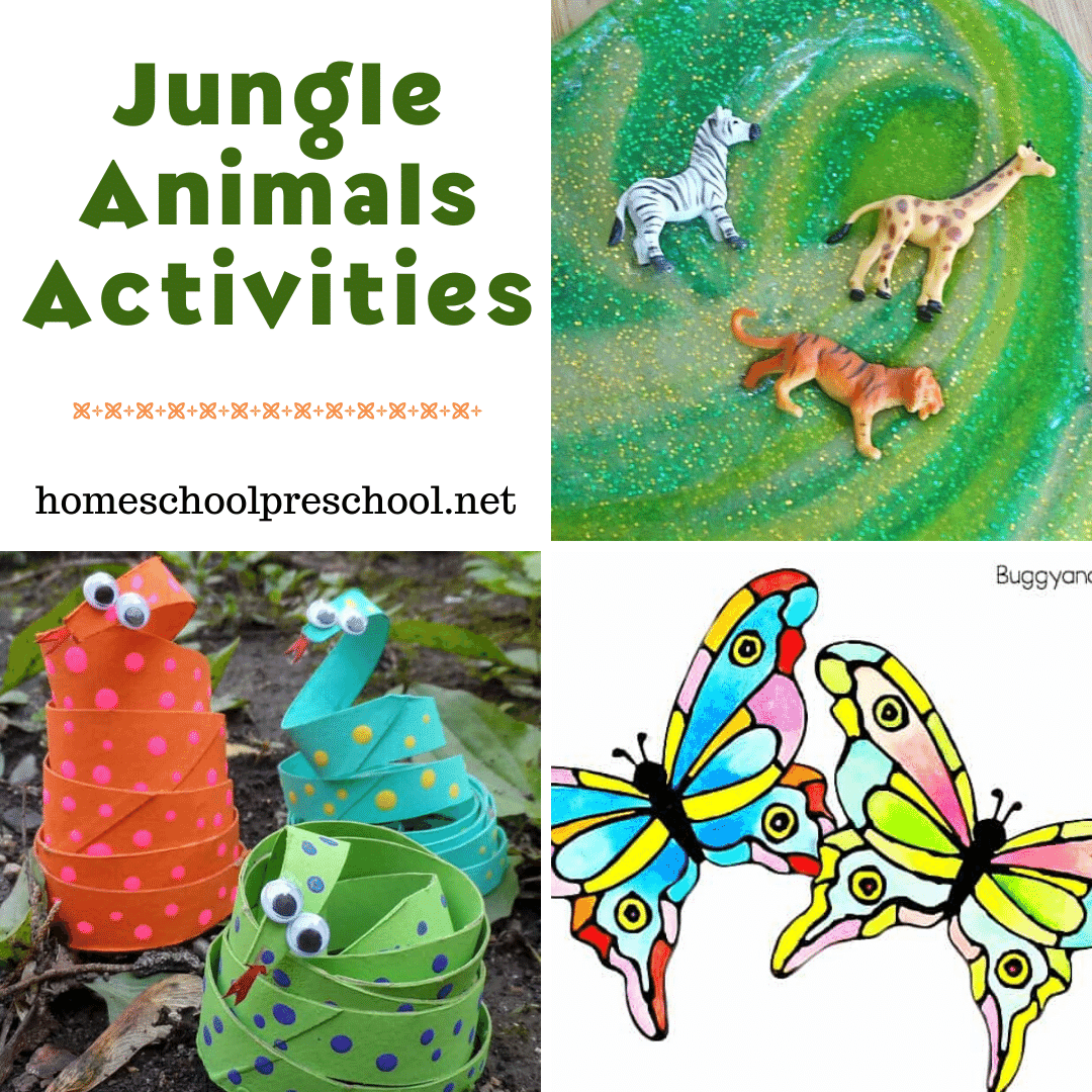 25 Creative Jungle Animal Activities for Preschoolers