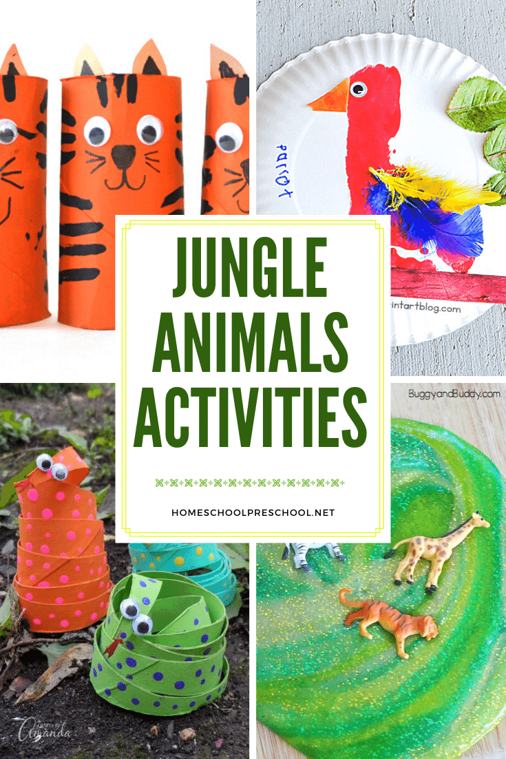 These jungle animal activities will help you teach your preschoolers about the animals, bugs, and creatures that live in the jungle.