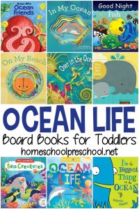 Ocean Books for Toddlers