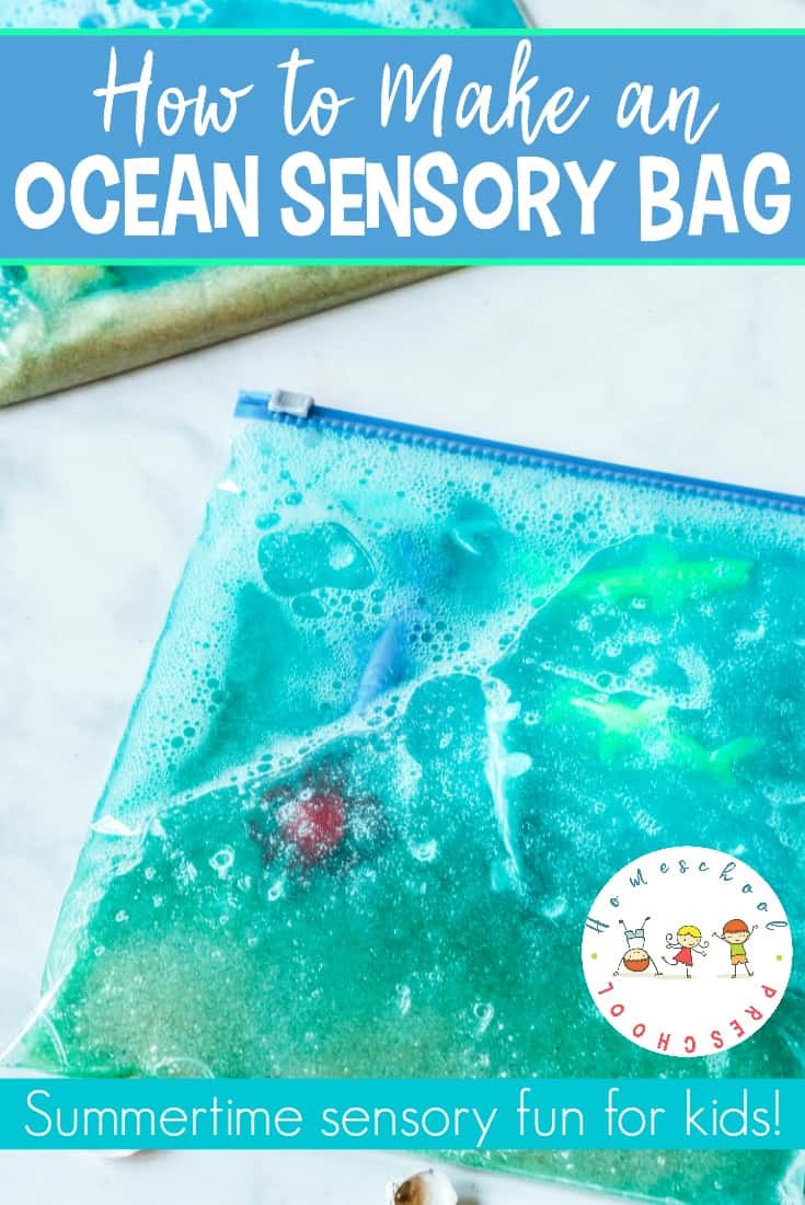 Ocean Sensory Bag