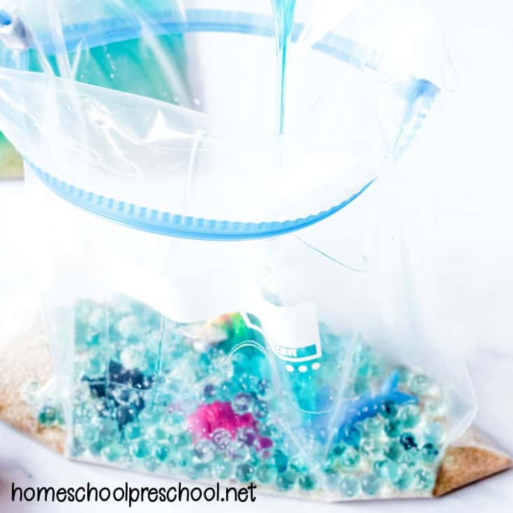 Make an ocean sensory bag for your toddlers and preschoolers to explore. It's a great activity for summer fun before or after a tip to the beach!