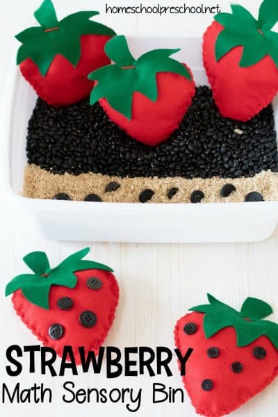 For your preschool strawberry theme create a strawberry math sensory bin. Work on number recognition, counting, and one-to-one correspondence. 