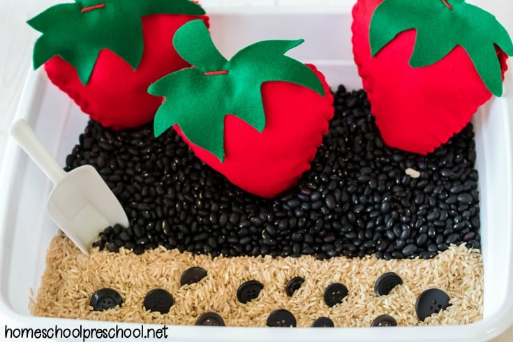 For your preschool strawberry theme create a strawberry math sensory bin. Work on number recognition, counting, and one-to-one correspondence. 