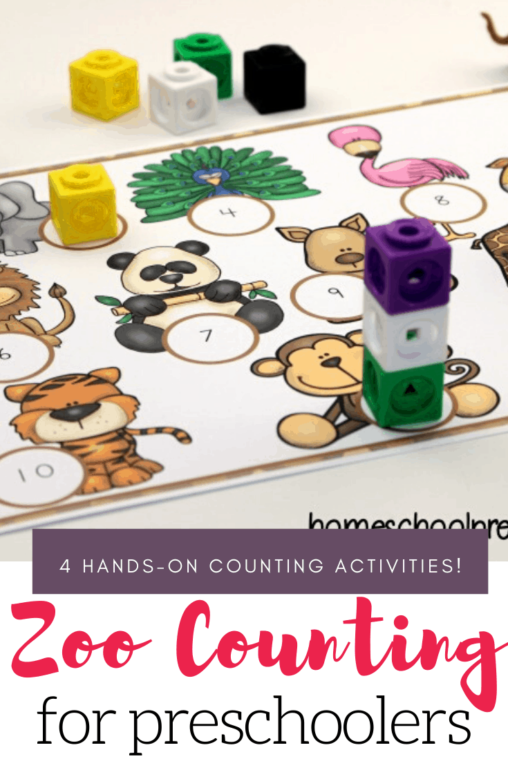 Zoo Counting Activities