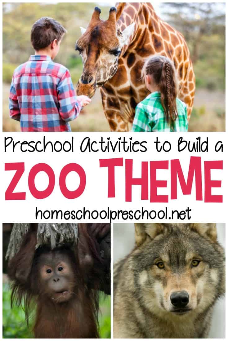 zoo-theme-preschool Preschool Zoo Theme Activities