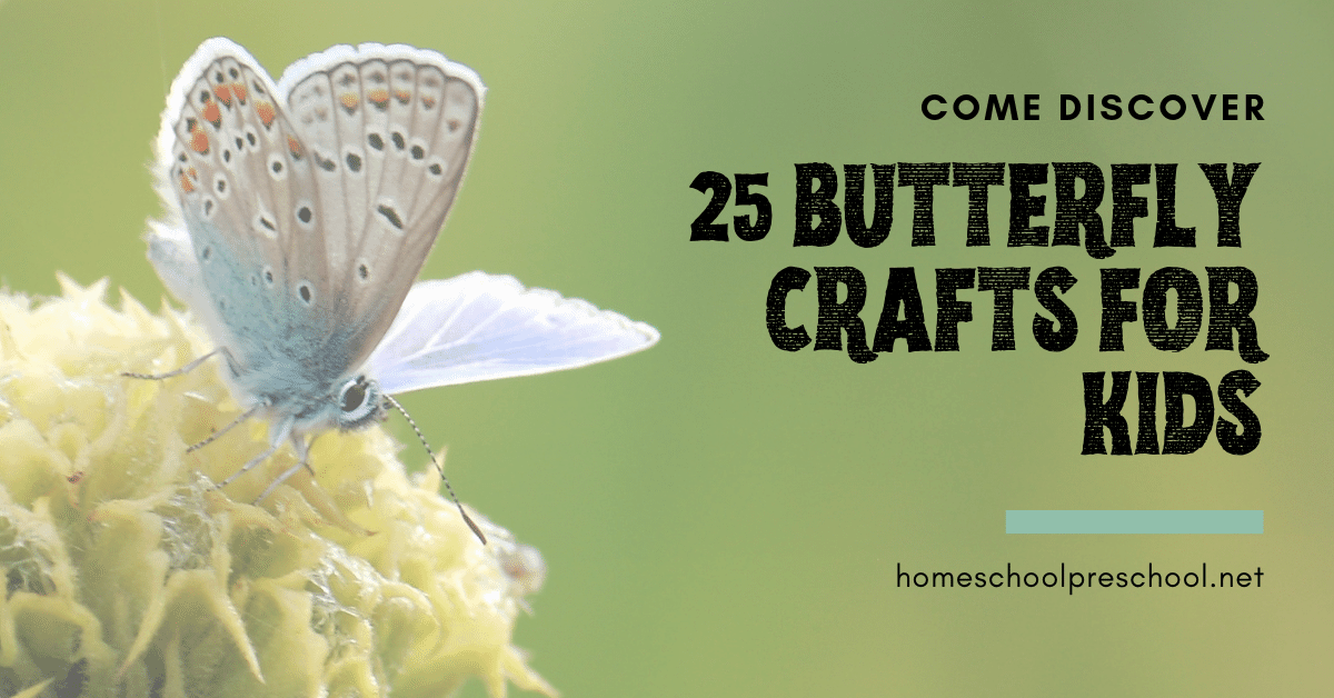 butterfly-unit-preschool Butterfly Crafts for Preschoolers