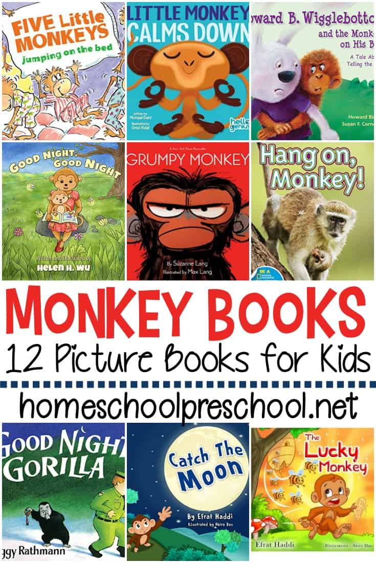 What a great collection of monkey books for preschool! It includes both fiction and nonfiction books for your upcoming animal studies!