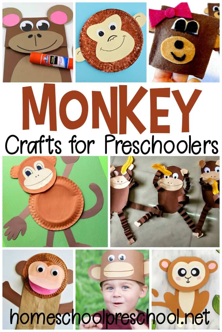 Don't miss these marvelous monkey crafts for preschoolers! Preschoolers can make paper plate crafts,  finger puppets and so much more!
