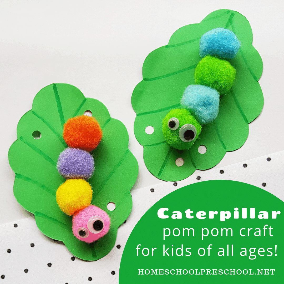 Looking for an easy caterpillar preschool craft? Our simple pom pom caterpillar craft includes a printable template, making it perfect for home and school.