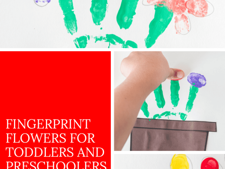 These fingerprint flowers are simple enough for toddlers and preschoolers to make. This craft makes a great gift or keepsake for Mother's Day, as well.