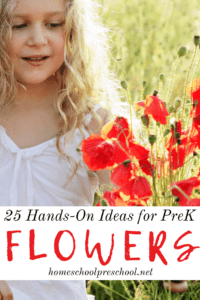 Hands On Flower Activities for Preschoolers