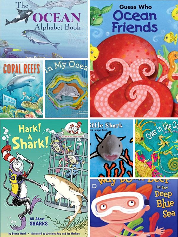Ocean Animal Books for Preschoolers