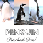 Penguin preschool activities are perfect for your winter! Find crafts, printables, book lists, and much more! Each activity is perfect for preschoolers!