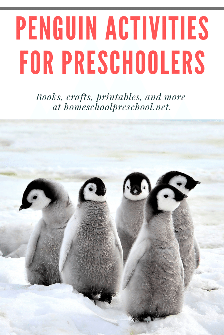 Penguin preschool activities are perfect for your winter! Find crafts, printables, book lists, and much more! Each activity is perfect for preschoolers!