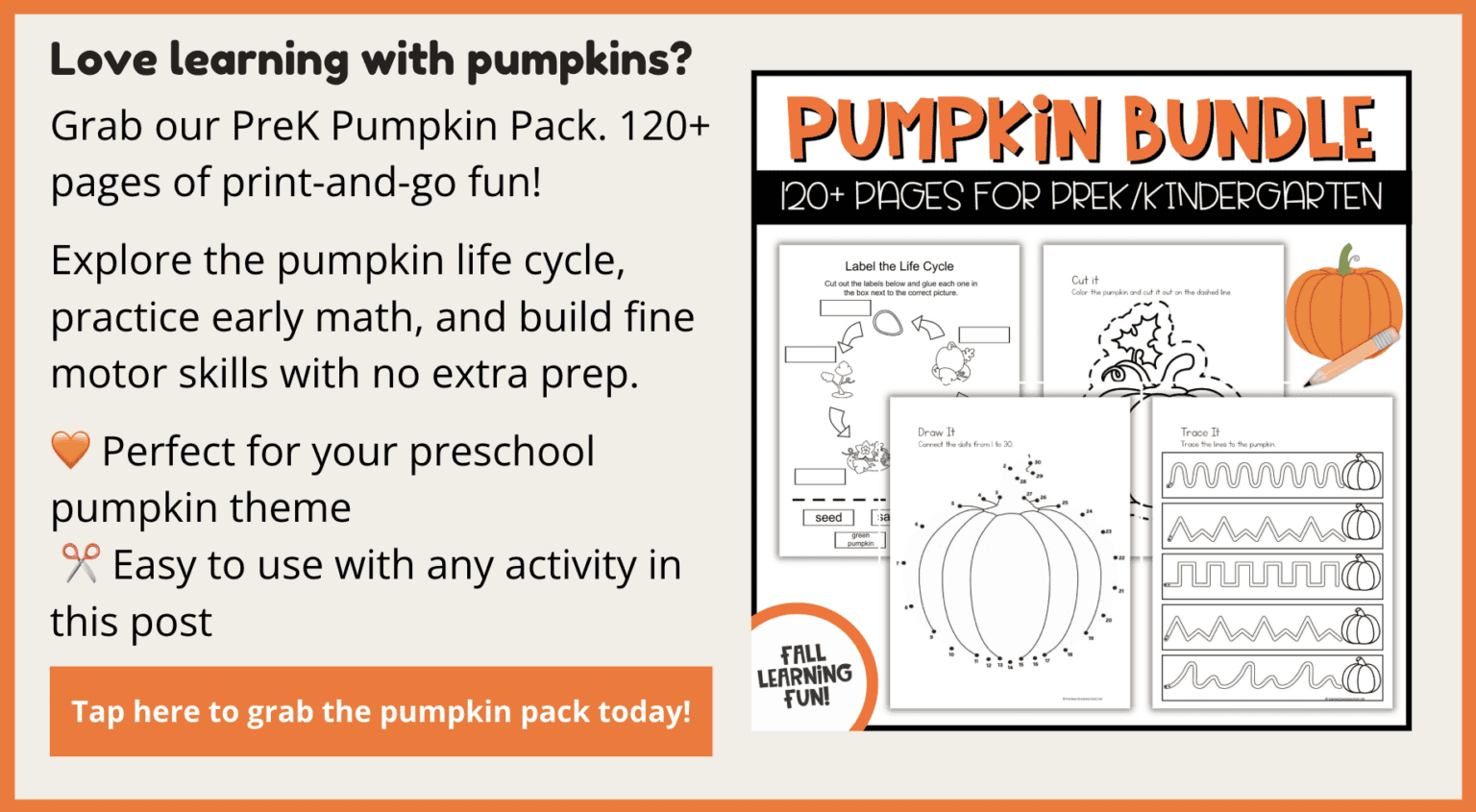 Pumpkin STEM Activities for Kids | PreK Fall Science & Math Fun