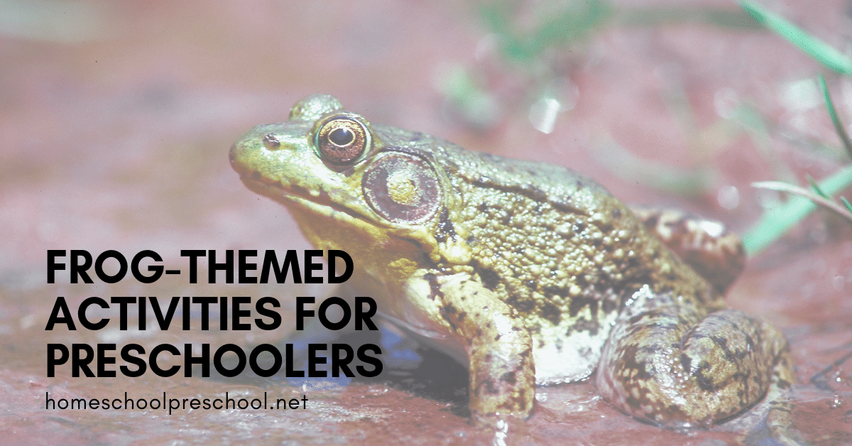 Fabulous frog activities for preschool! Find crafts, printables, book lists, and more. Hop on over to discover them all!