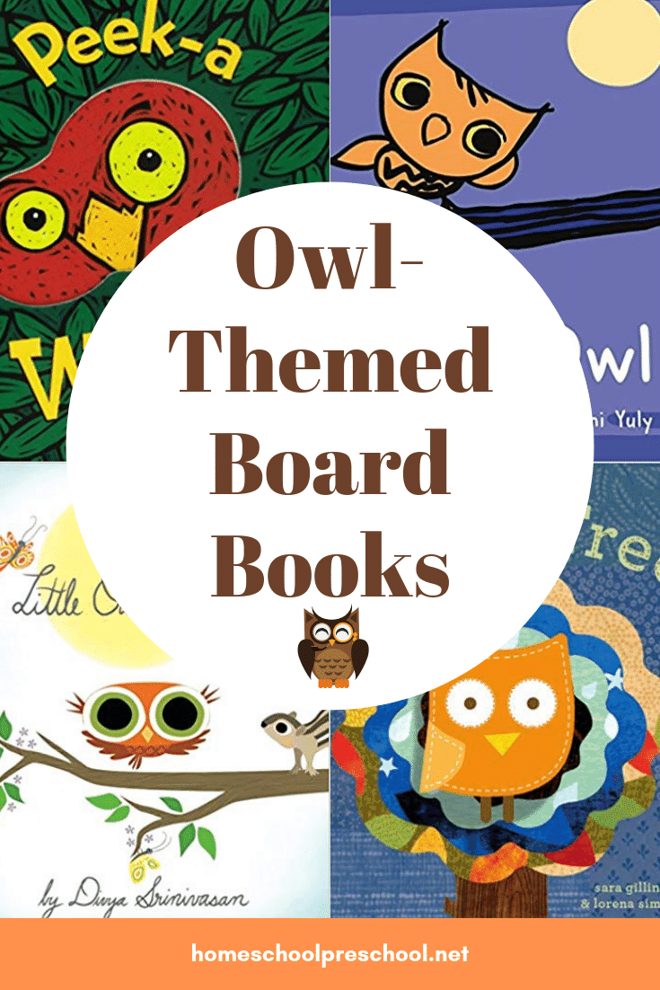 Owl Board Books for Toddlers