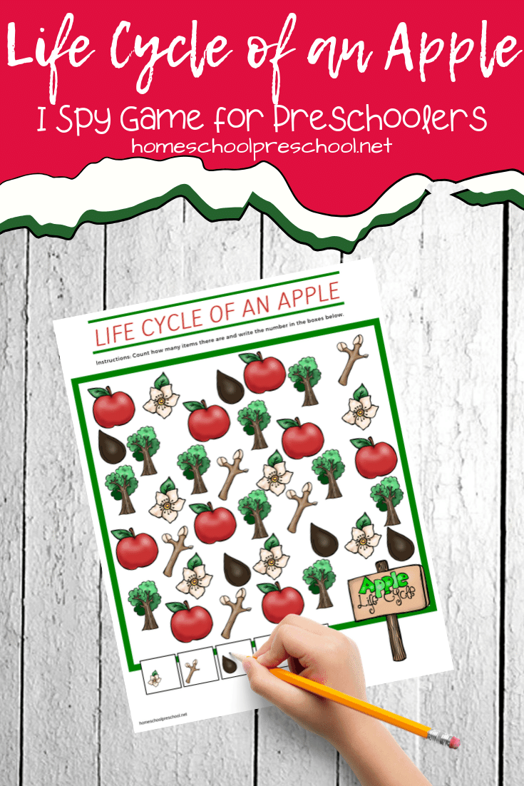 While studying apples with your preschoolers this fall, let them practice counting within ten with this Life Cycle of an Apple I Spy Game.  