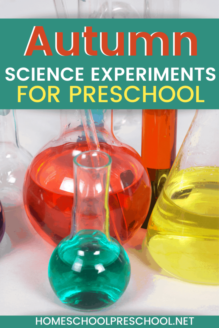 fall-science-4-735x1103 Hands-On Preschool Activities