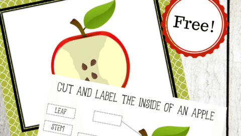 Apple Printables for Your Apples Preschool Theme