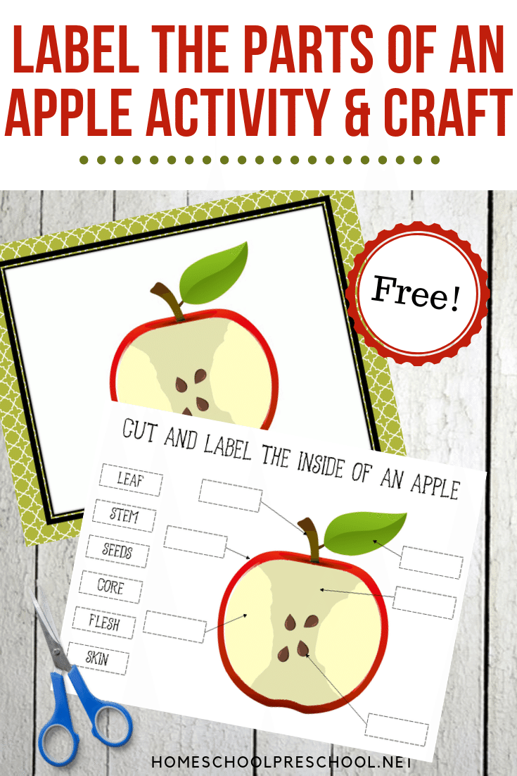 label-the-apple-2 Paper Plate Apple Craft