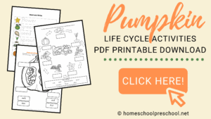 Preschool Life Cycle of a Pumpkin Printable for Fall