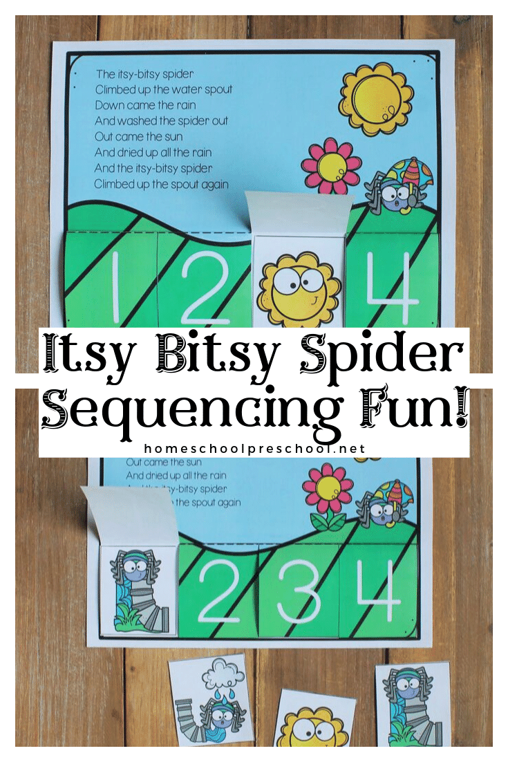itsy-bitsy-spider-1 Picture Books About Bats