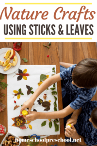 Crafts with Leaves and Sticks