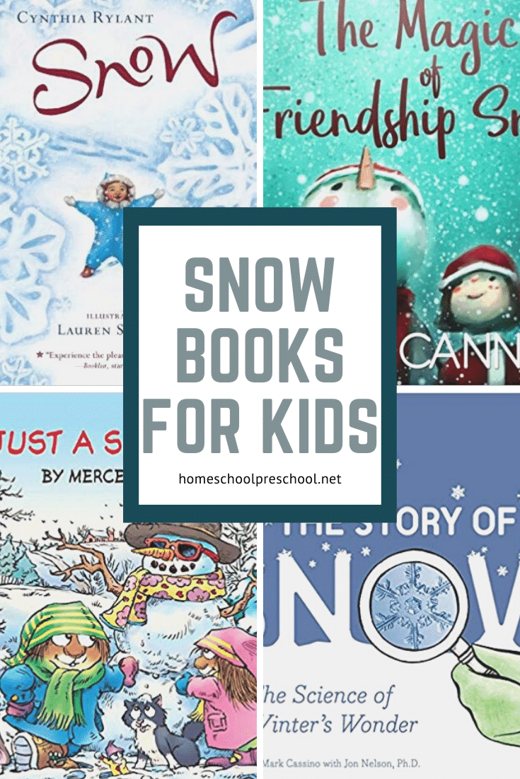 Add these snow books for preschoolers to your winter reading list. You'll find a mix of both fiction and nonfiction books on this awesome list. 