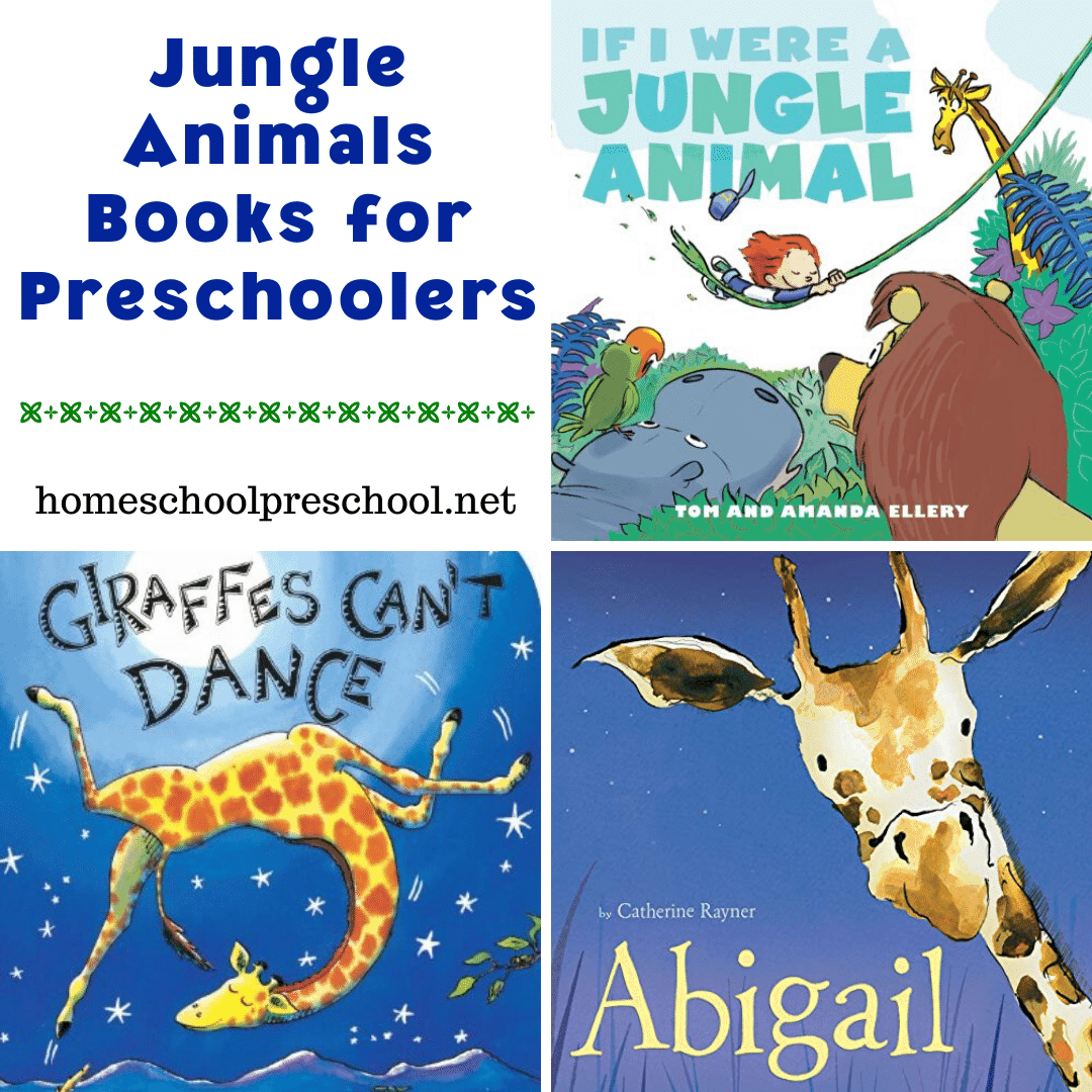 Jungle Animal Books for Preschoolers