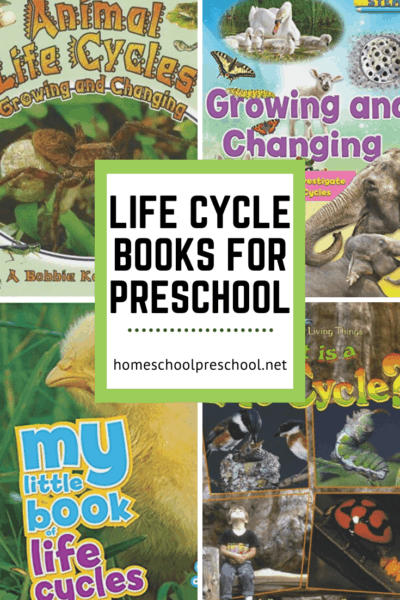 15 Engaging Life Cycle Books for Preschoolers