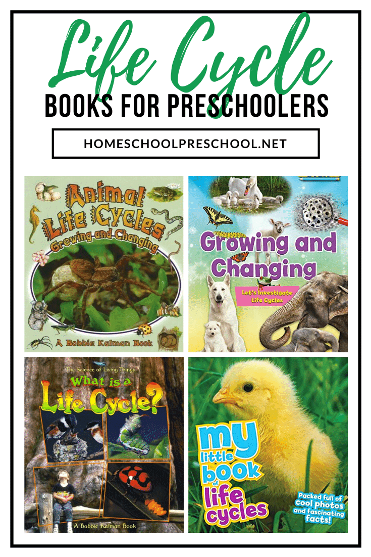 These life cycle books for preschoolers are perfect all year long. They'll help you bring your life cycle lesson plans to life!