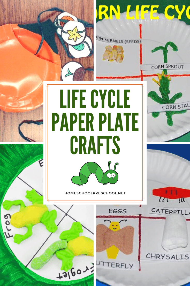 Paper Plate Life Cycle Crafts